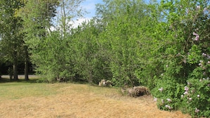 Une zone herbeuse avec des arbres et des arbustes, un ciel dégagé et un sentier qui traverse la végétation.