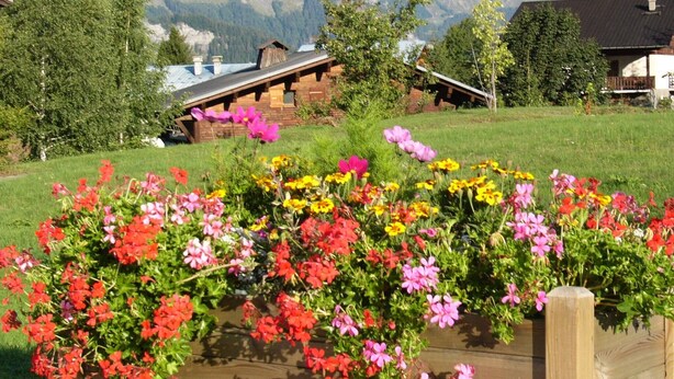 A wooden deck with colorful flowers in front of a mountain backdrop. - Apartment in the owner's chalet in CREST-VOLAND (COHENNOZ)
