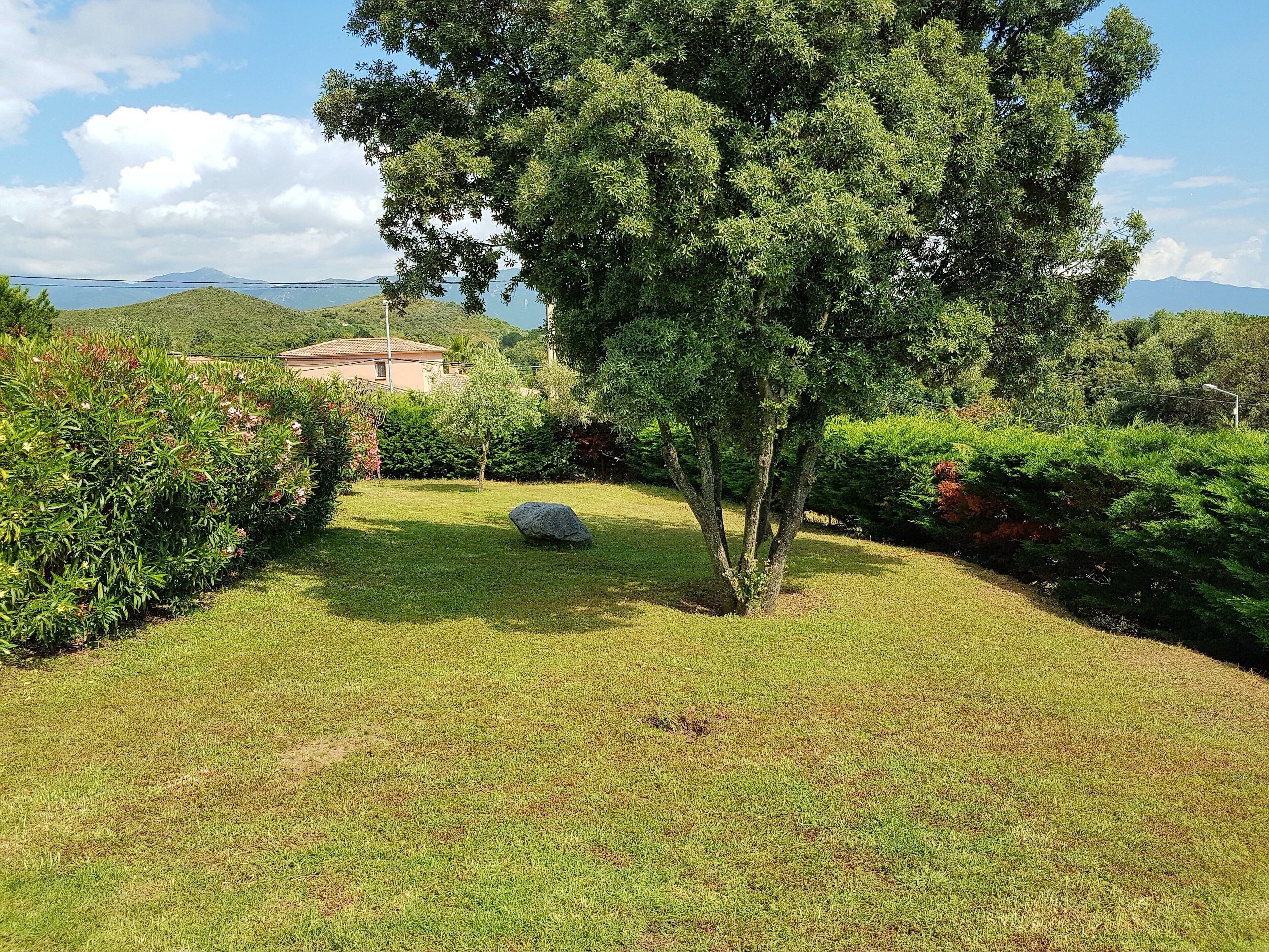 A well-maintained grassy area with a large tree, a stone, and a building in the background.