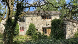 A stone building with ivy-covered walls and multiple windows, surrounded by dense greenery. - Beautiful Authentic Stone House In The Lot REDUCED RATE ! (Montcuq-En-Quercy-Blanc)