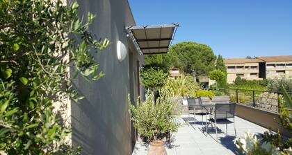 ROOFS OF VAISON LA ROMAINE