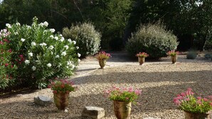 Un giardino con vialetti ghiaiosi, piante in vaso e una varietà di arbusti fioriti.
