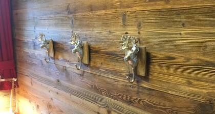 Luxury 2-bedroom apartment Les Masses Thyon, 4 Valleys (Verbier, Nendaz, Thyon)