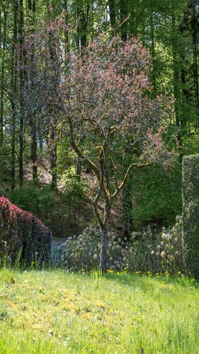 Apartment Gîte " Villa Ô Bois " Epinal Vosges