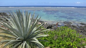 A coastal landscape with a large agave plant in the foreground, rocky shoreline, and a person standing near the water's edge. - Bright apartment 80 meters from the lagoon, with large covered terrace (La Saline-Les-Bains)