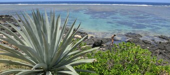 Helle Wohnung 80 Meter von der Lagune entfernt, mit großer überdachter Terrasse