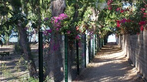 A pathway lined with trees and flowering plants, enclosed by a metal fence. - Bright apartment 80 meters from the lagoon, with large covered terrace (La Saline-Les-Bains)