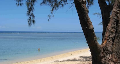 Bright apartment 80 meters from the lagoon, with large covered terrace