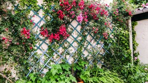A garden wall with a lattice structure supporting climbing plants and flowers. - Fisherman's house (Cancale)