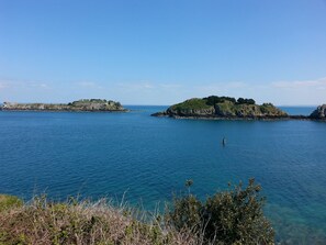 Eine Küstenlandschaft mit freiem Blick auf eine kleine Insel und eine entfernte Festung.