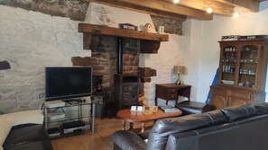 Smart TV, fireplace, DVD player, books