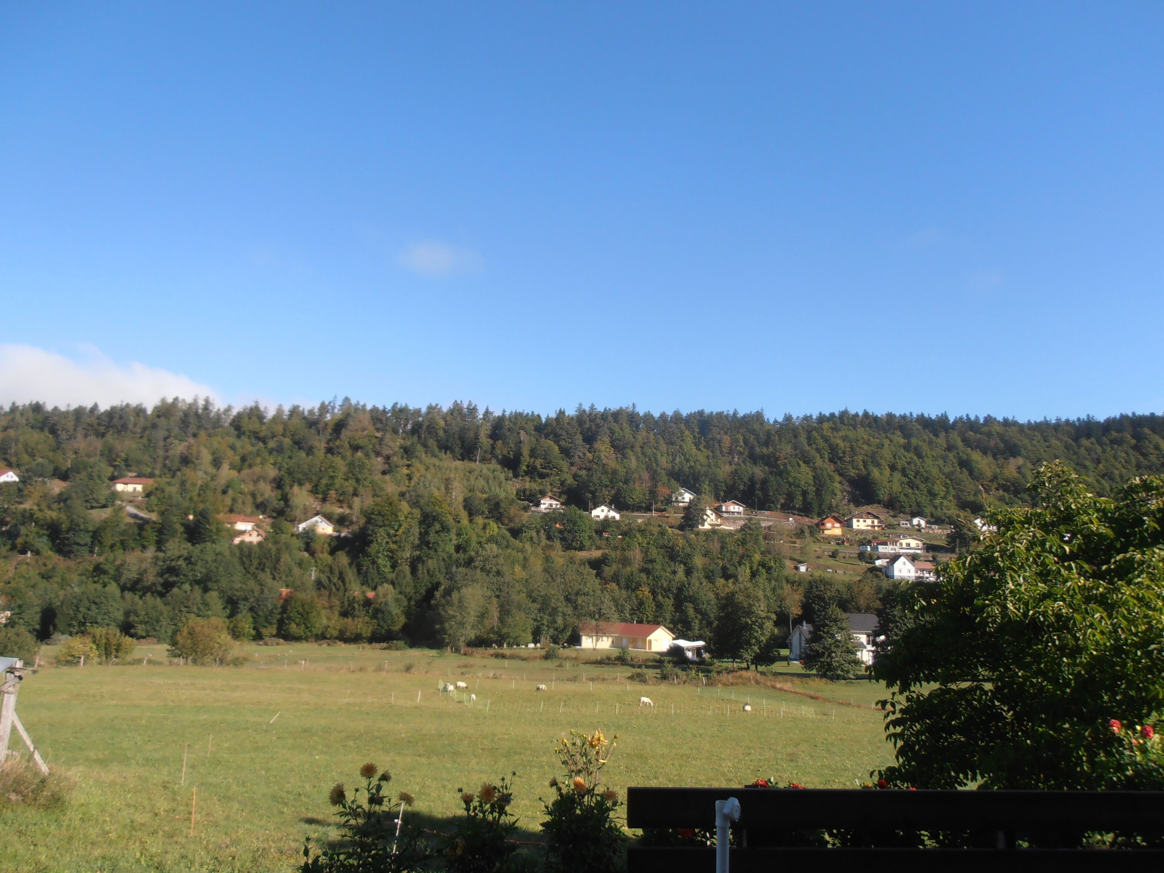 Un paisaje rural con cielo despejado, un campo cubierto de hierba y casas dispersas en una colina.