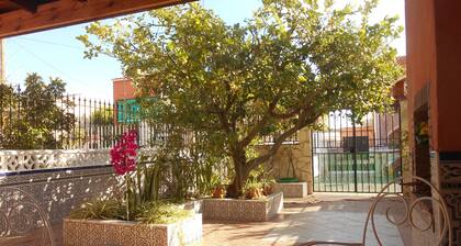 Nice terraced house 350 m from the sea