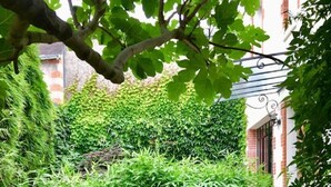 A garden with a variety of plants and a concrete planter. - The charm of a family home in Tours (Tours)