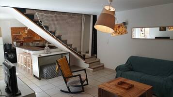 TV connectée, cheminée, lecteur de DVD, livres