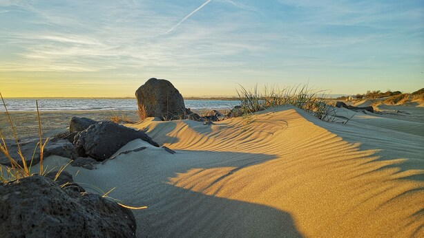 Een zandstrand met grote rotsen en schaarse begroeiing.