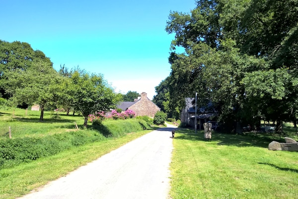 Zufahrt zum Hof (Sackgasse)