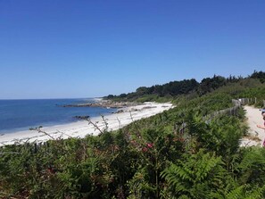 Paesaggio costiero con spiaggia sabbiosa, vegetazione lussureggiante e cielo azzurro limpido.