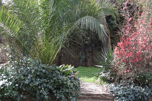 Property grounds - Pretty village house in Sorède a proxArgelès/mer Pyrénées Orientales,. (Sorède)