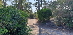 Overnatningsstedets område