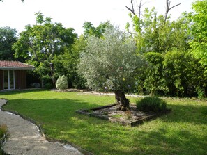 Property grounds - Bassin d'Arcachon - Beautiful house near the port of Cassy (Lanton)
