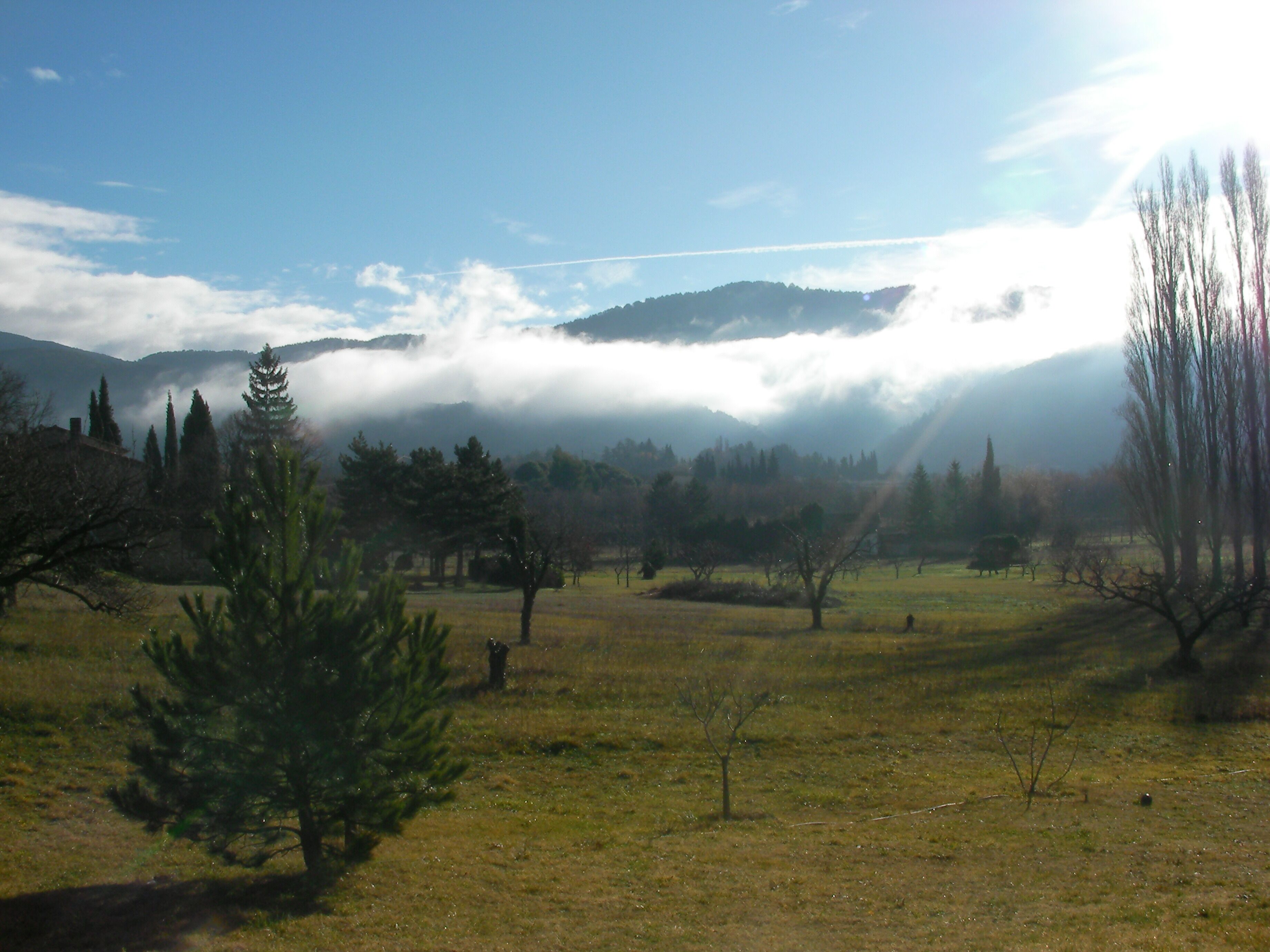 Ländliche Landschaft mit einem Feld, Bäumen und Bergen im Hintergrund.