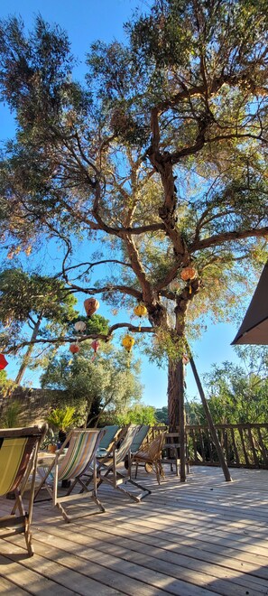 A wooden deck with lounge chairs and a large tree with hanging lanterns.
