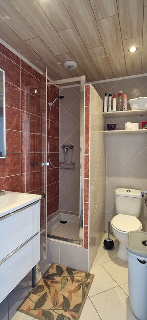 Shower, hair dryer