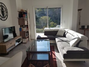Smart TV, DVD player, books, video library