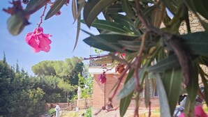 حمام سباحة