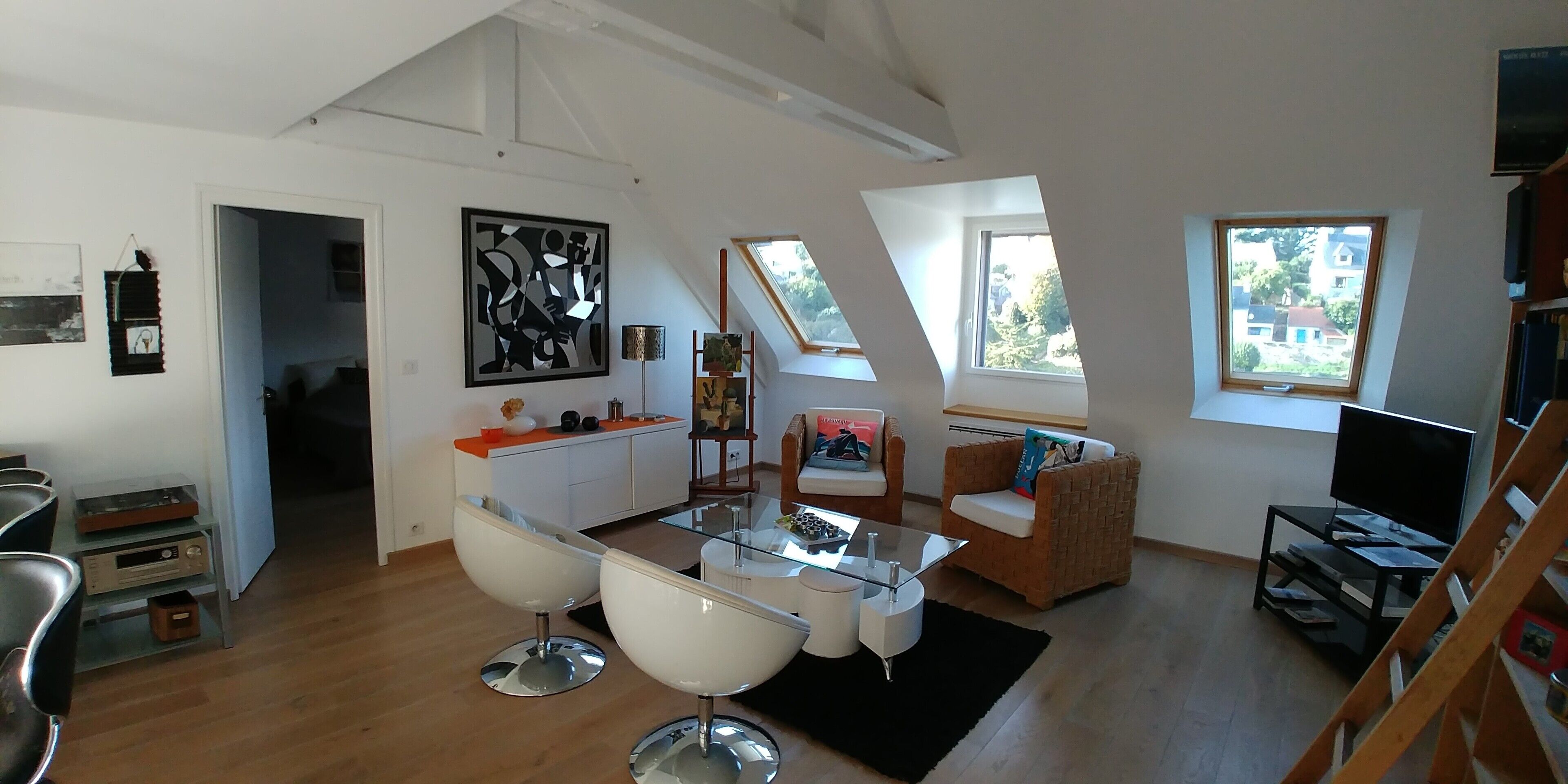 智能电视、DVD 播放器、书、音乐库