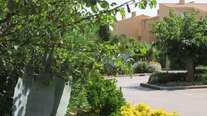 المنطقة المحيطة بالمنشأة