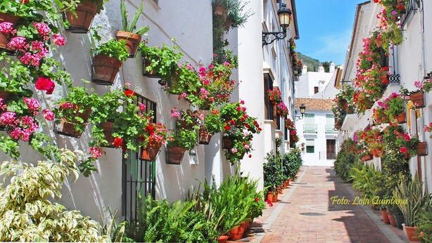 Eine schmale Straße, gesäumt von weißen Gebäuden, die jeweils mit hängenden Blumenkörben und Kübelpflanzen geschmückt sind.