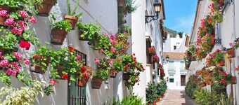 2BR Apartment with Pool – Walk to Beach & Marina – Sleeps 4