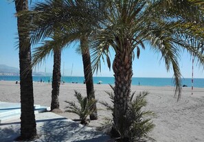 Ein Strand mit Palmen und freiem Blick auf das Meer.