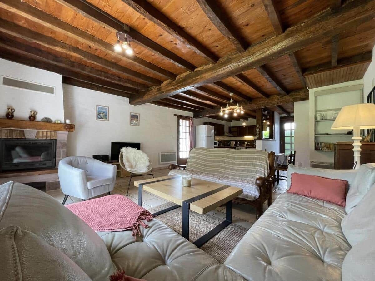 Een televisie, een open haard, een dvd-speler en boeken