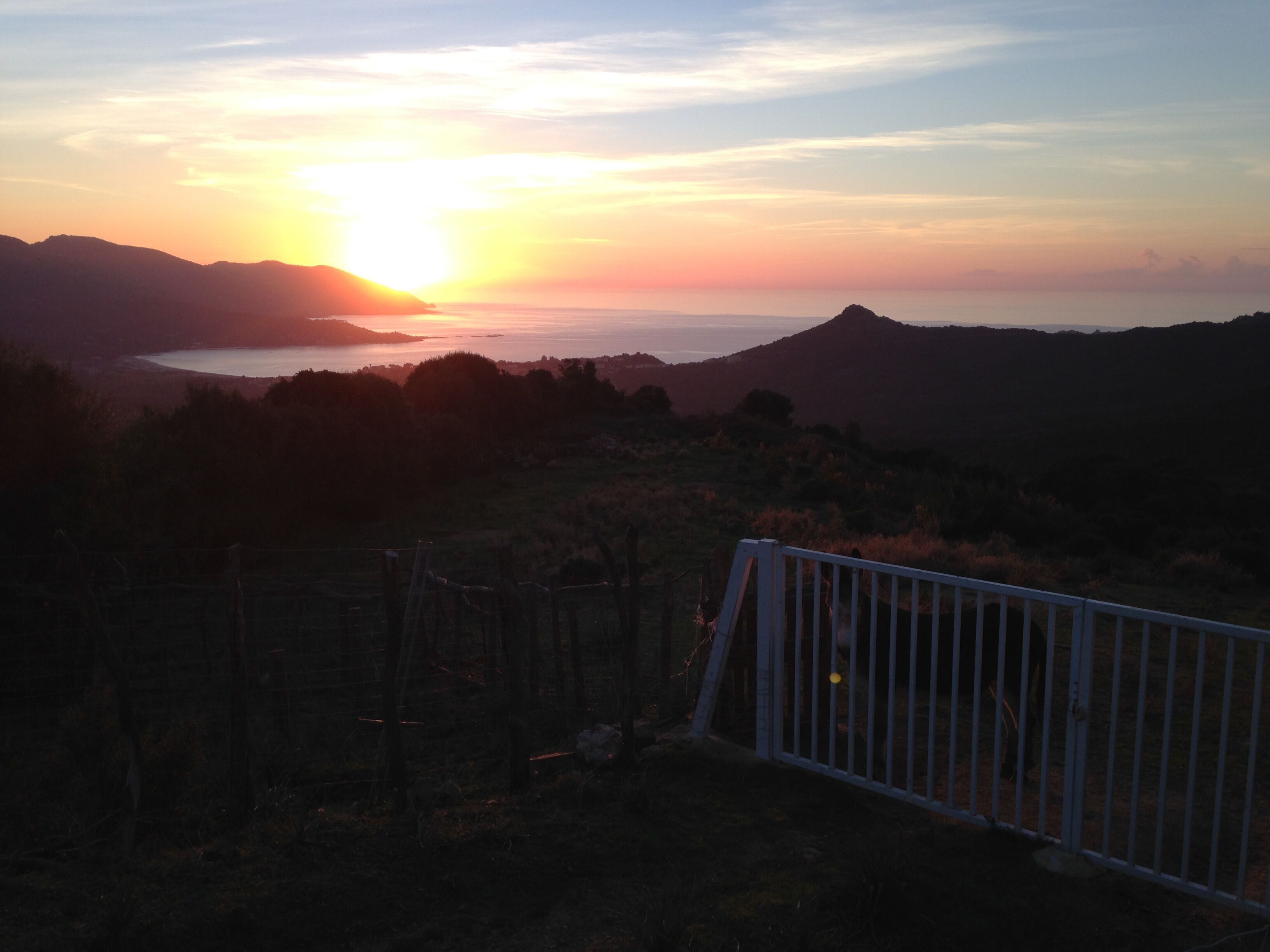 Solnedgang over vand med bjerge i baggrunden og et indhegnet område i forgrunden.