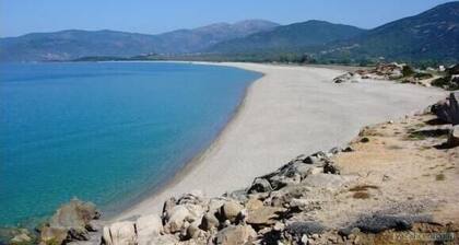 Villa indĂ©pendante de 55 mĂštres, climatisĂ©e avec jardin arborĂ© de chĂȘnes