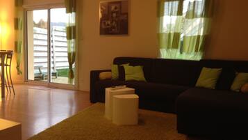 电视、DVD 播放器、书、影片库