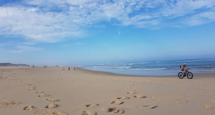 Lampaat, Route de Contis-Plage, Metsäinen puutarha, lähellä Ocean Bike Polkua