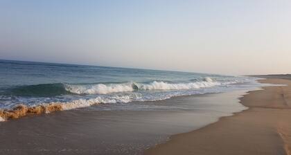 Contis-les-Bains, Saint-Julien-en-Born, bergerie en bois