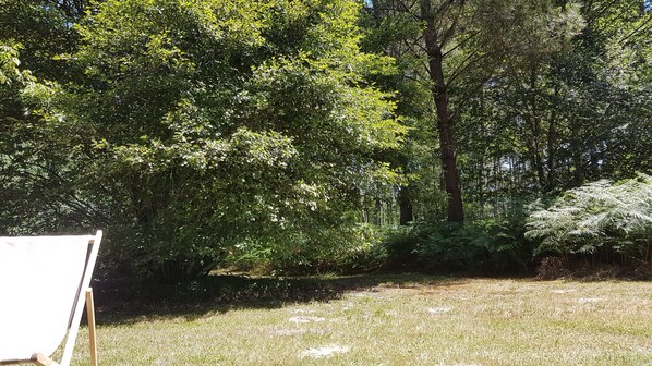 Un espace extérieur doté d’une pelouse verdoyante, d’arbres et d’un chevalet blanc.
