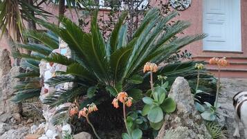 DĂ©tail de lâextĂ©rieur