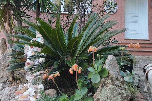 DĂ©tail de lâextĂ©rieur