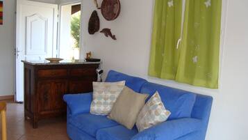 TV, fireplace, DVD player, computer monitors