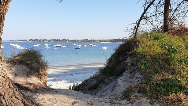 A beach with boats in the water, a sandy shore, and a tree in the foreground. - Exceptional location 2 steps from the sea for this single storey house (Trégunc)