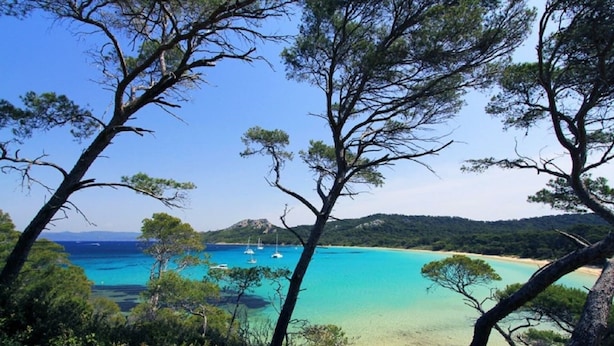 Un paisaje costero con aguas turquesas cristalinas, playas de arena y densos pinares.