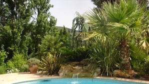 Piscina rodeada de exuberante vegetación y una cascada.