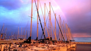 Puerto deportivo con varios veleros amarrados, destacando sus mástiles y aparejos.