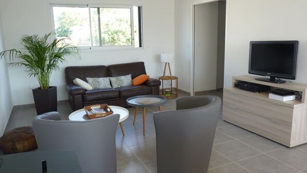 Televisio, DVD-soitin